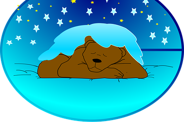 You Hibernate Until Spring?