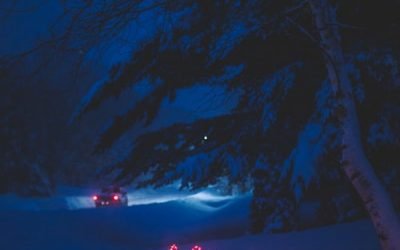 Blue Blue Christmas