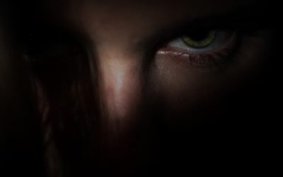 SECRECY AND SUBVERSION